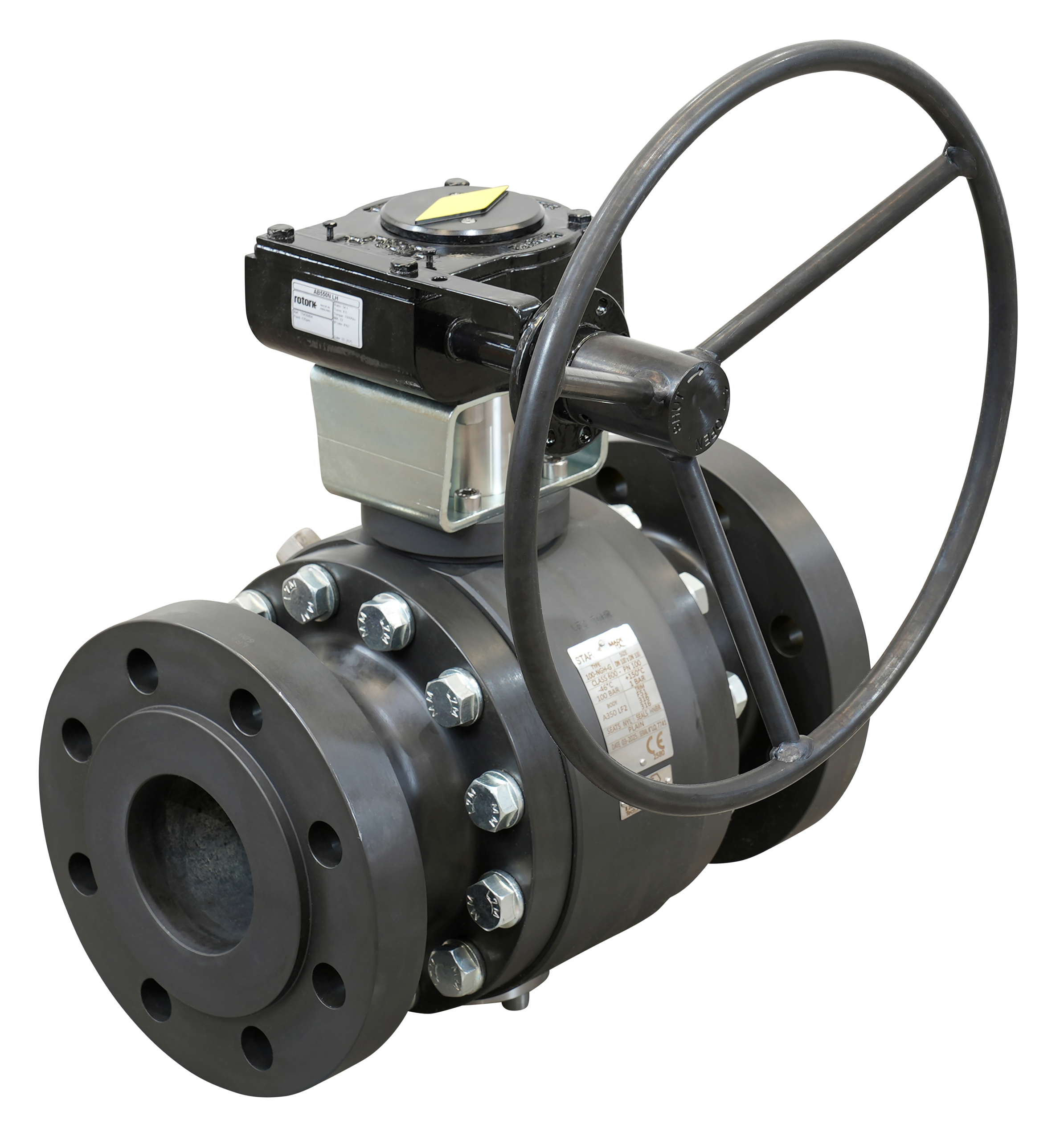Trunnion Mounted Ball Valves