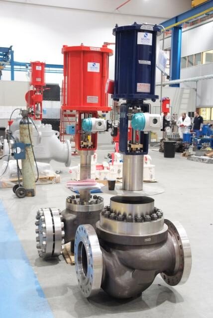 DSF7981 JPG rotated - Why Severn Control Valves Are Suited for Severe Service Applications